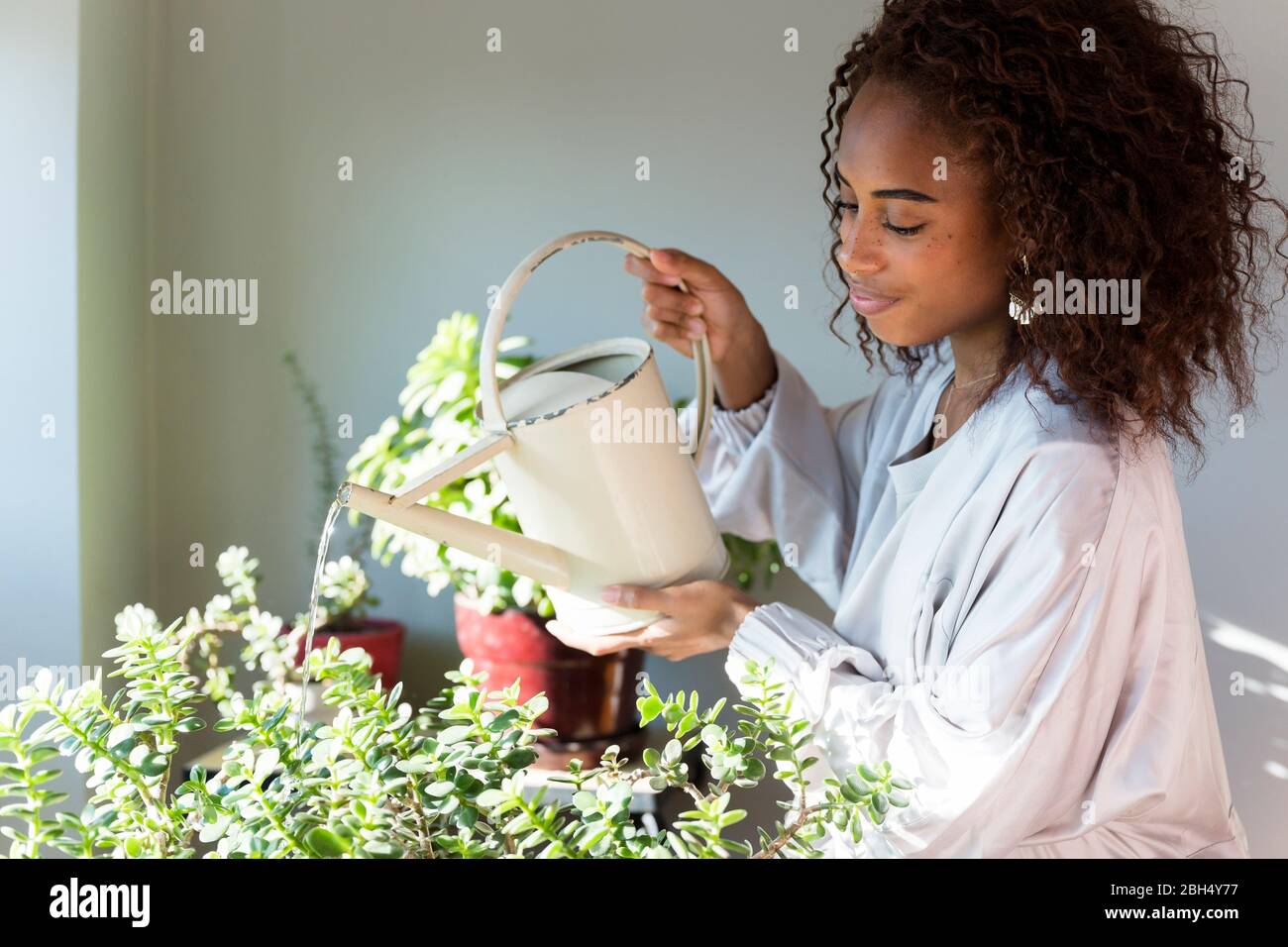 La donna gli impianti di irrigazione Foto Stock