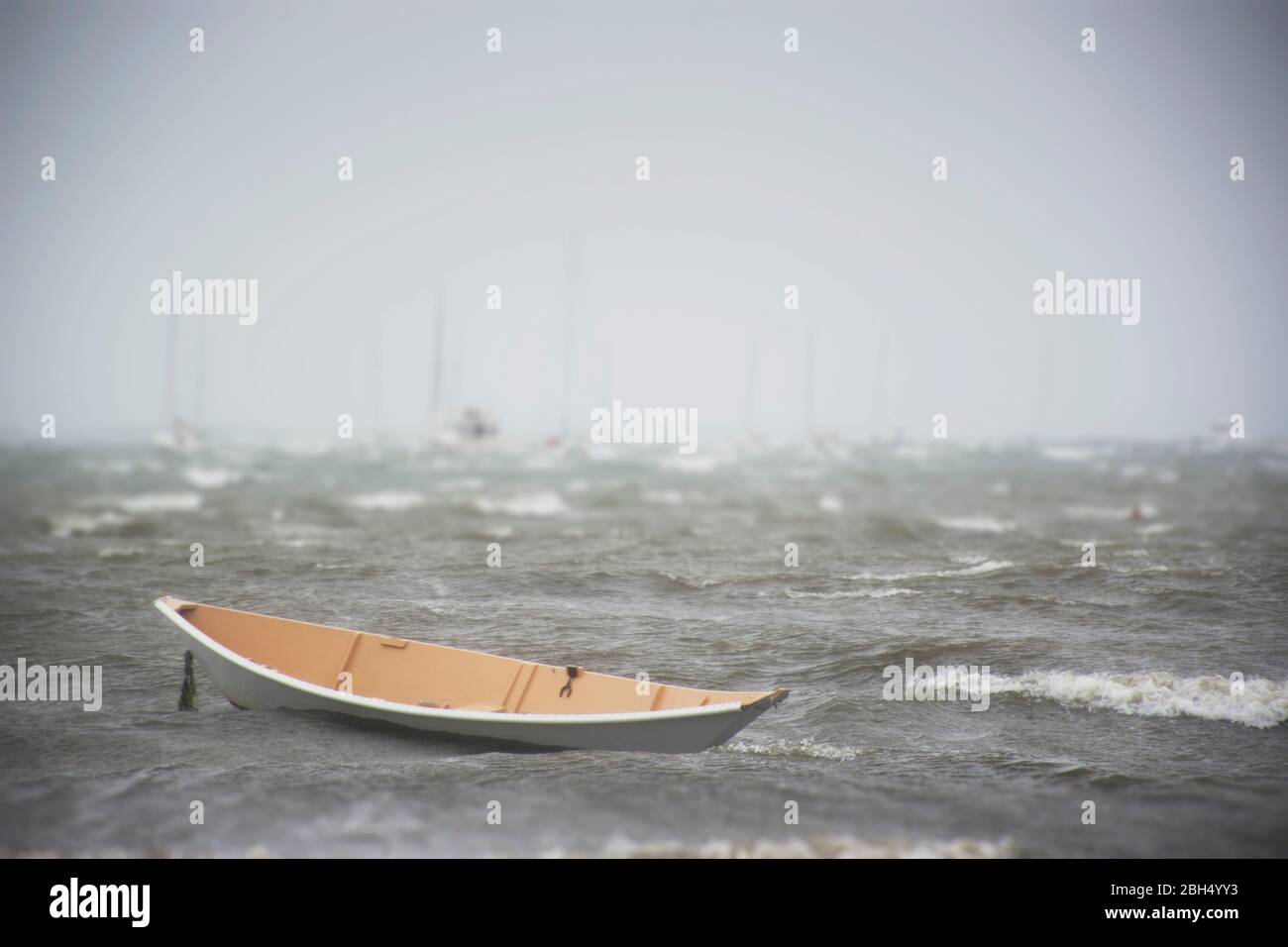 Barca a remi sul mare Foto Stock