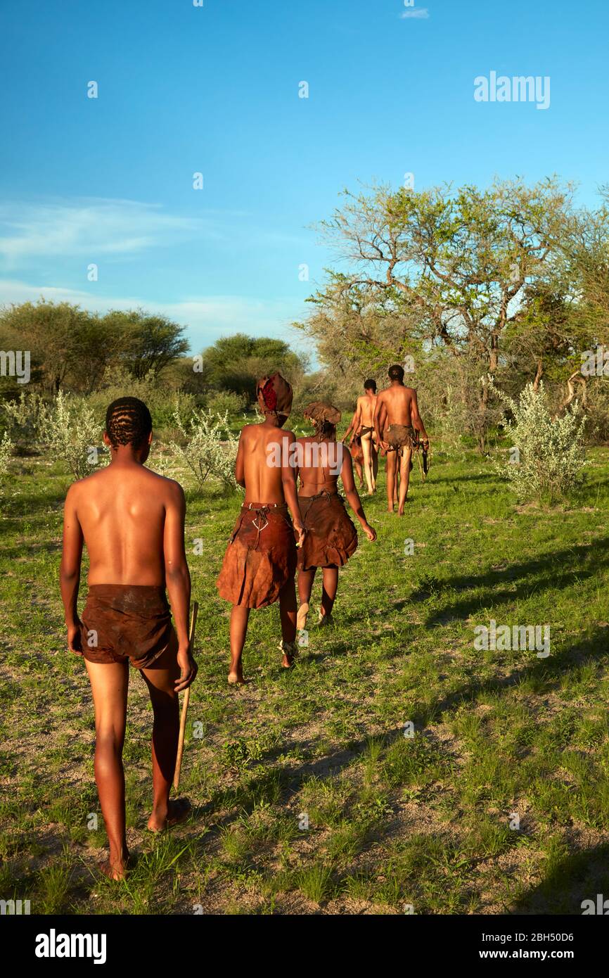 Passeggiata nel bush educativo con San People, Ghanzi, Botswana, Africa Foto Stock