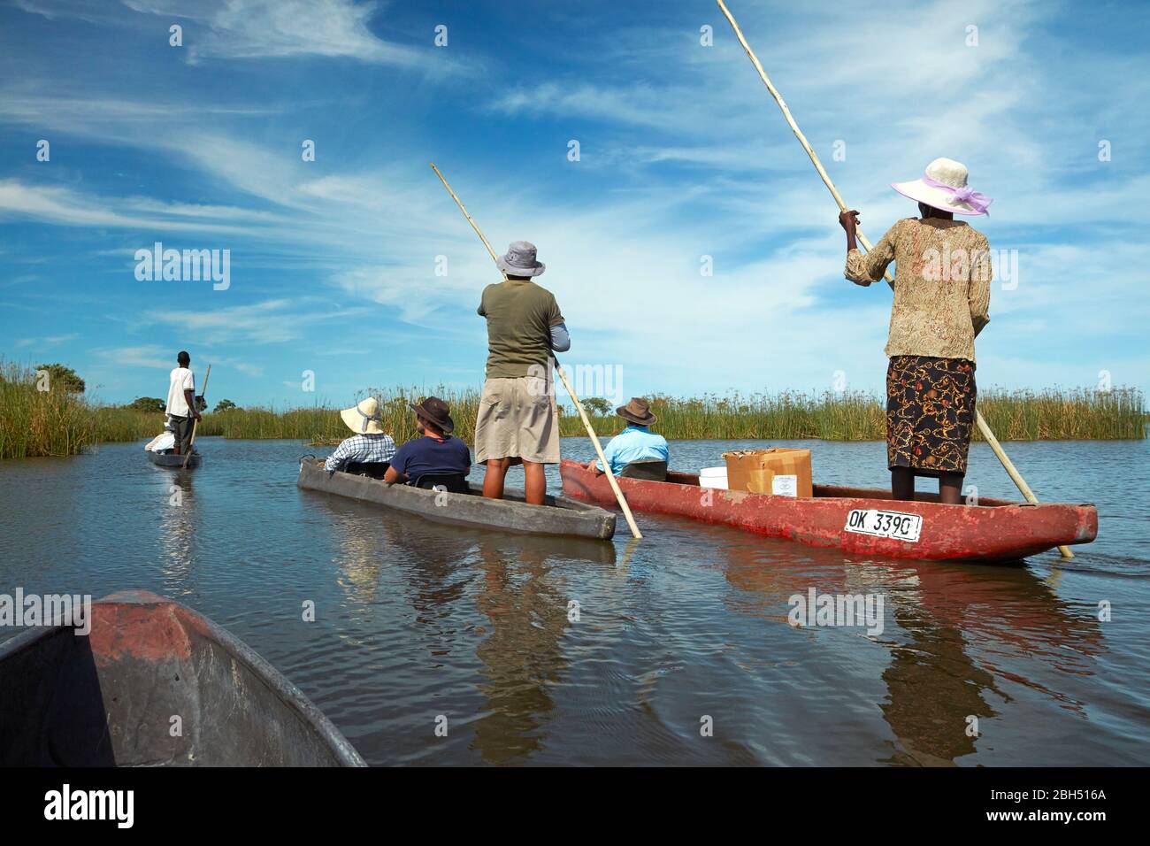 I turisti sono stati poled comunque in mokoros (canoe dugout), Delta di Okavango, Botswana, Africa Foto Stock