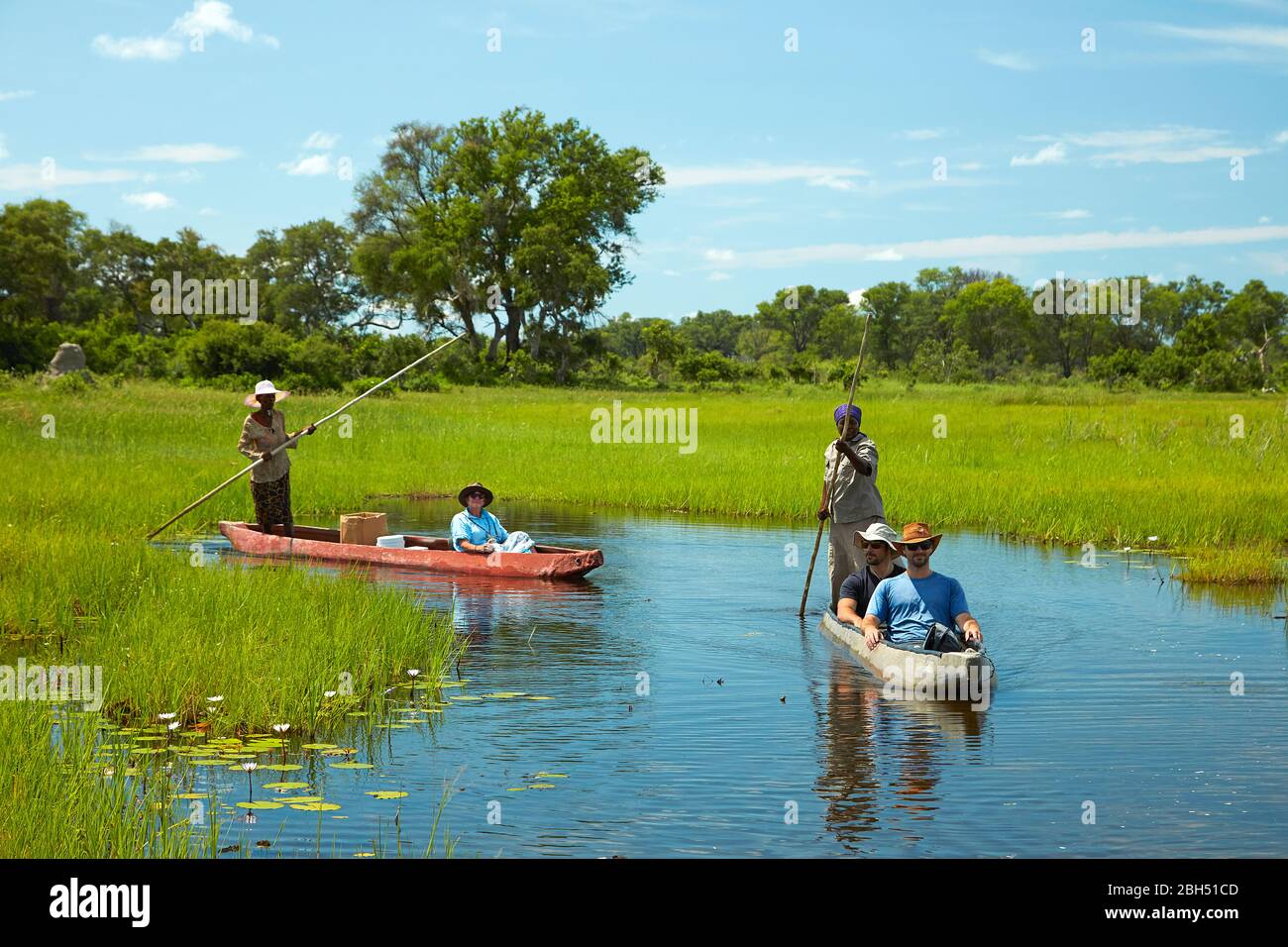 Turisti che vengono poled in mokoros (canoe dugout), Delta Okavango, Botswana, Africa Foto Stock