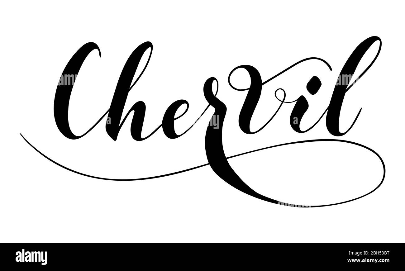 Vettore testo scritto a mano chervil isolato su sfondo bianco. Cucina erbe sane e spezie per cucinare. Sceneggiatura spazzhpen scritta con fiori. Scrittura a mano per banner, poster, etichetta del prodotto Illustrazione Vettoriale