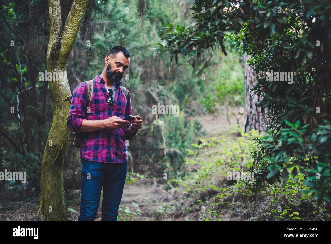 Uomo che usa lo smartphone nella foresta Foto Stock