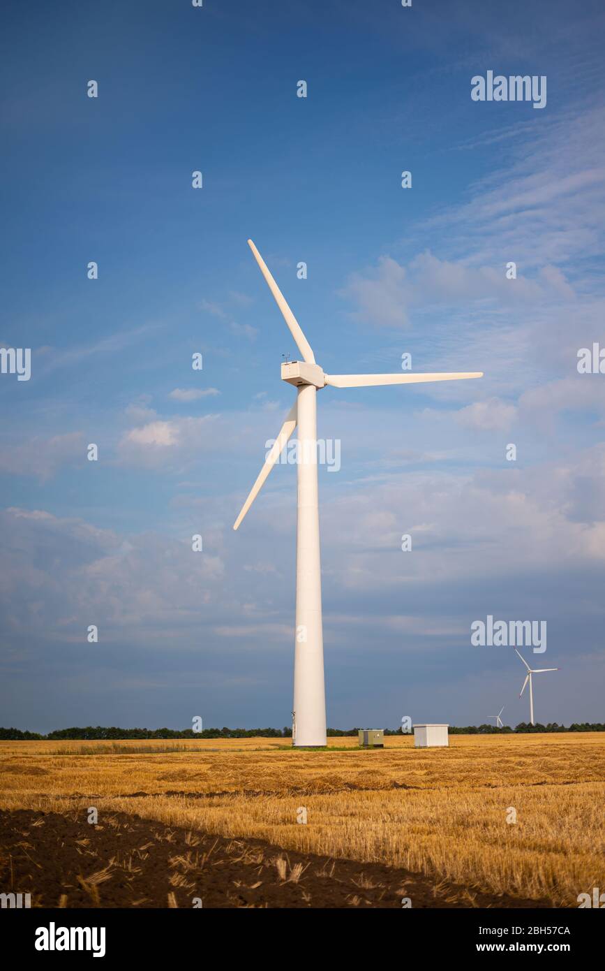 Turbine eoliche energia Propeller in un campo di grano (generatore di energia eolica o mulino a vento) su uno sfondo di cielo blu, producendo energia pulita in un parco eolico. Foto Stock