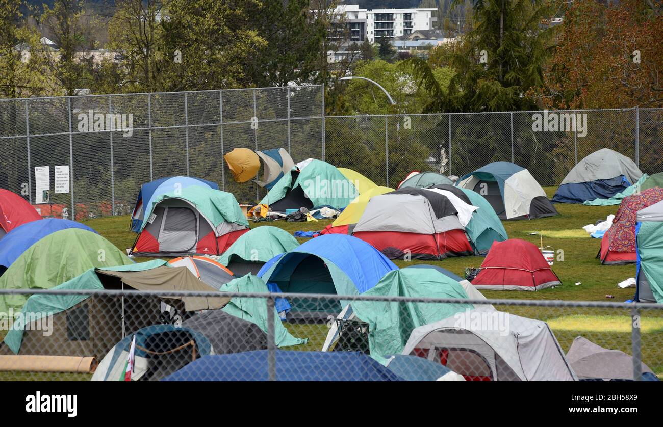 Le tende sono distanziate di sei piedi in una città ufficiale senza tetto accampamento tenda nel parco di Topaz a Victoria, British Columbia, Canada il giovedì 23 aprile Foto Stock