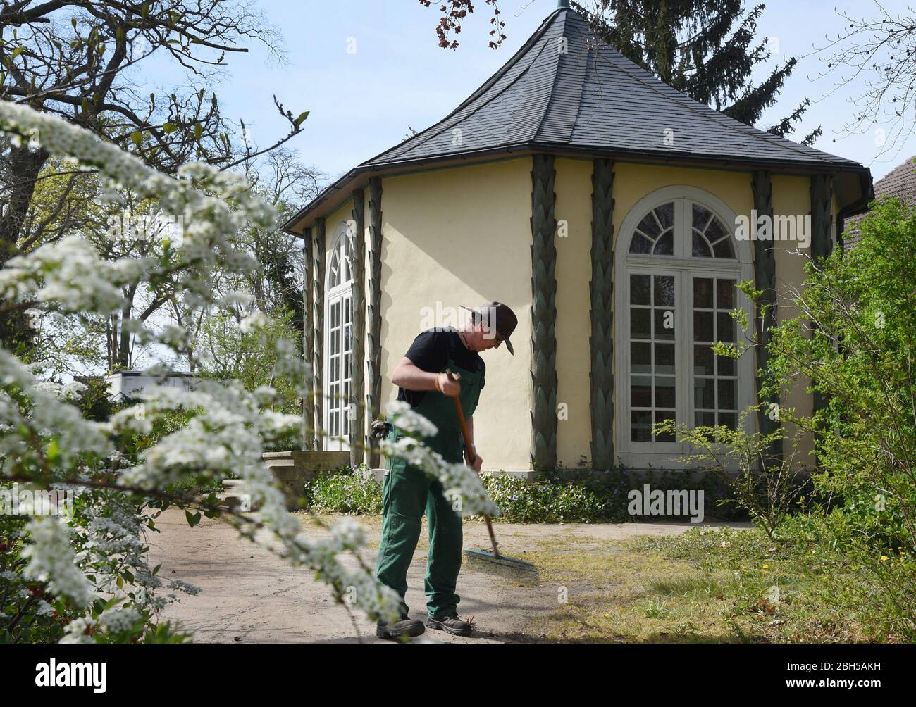 Mosigkau, Germania. 16 Apr 2020. Di fronte alla casa da tè cinese nel parco del Castello di Mosigkau, il giardiniere Jörg Schubert pulisce i sentieri delle foglie d'autunno rimanenti. Il palazzo fu costruito nel 1752-1757 dalla principessa Anna Wilhelmine di Anhalt-Dessau (1750-1780) come residenza estiva ed è parte dell'attuale regno dei giardini di Dessau-Wörlitz, patrimonio mondiale dell'UNESCO, creato nella seconda metà del XVIII secolo sotto la guida del Principe Leopoldo III Friedrich Franz di Anhalt-Dessau. Credit: Waltraud Gruchitzsch/dpa-Zentralbild/dpa/Alamy Live News Foto Stock