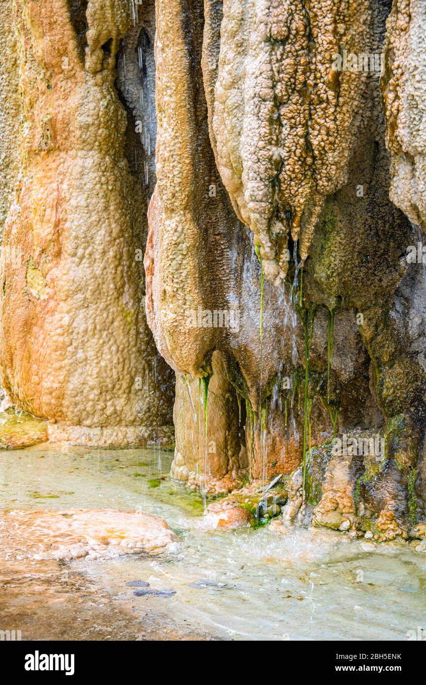 Deposito di minerali caldi dettaglio travertino verticale, Thermopolis, Wyoming Foto Stock