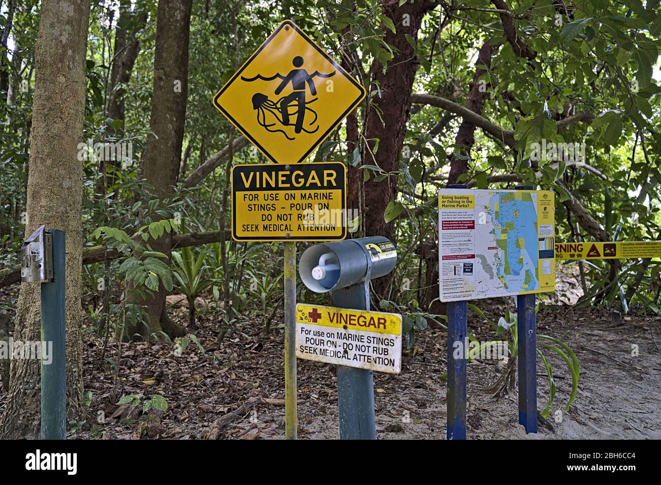Stinger avvertimento e consiglia vicino a Cape Tribulation Foto Stock