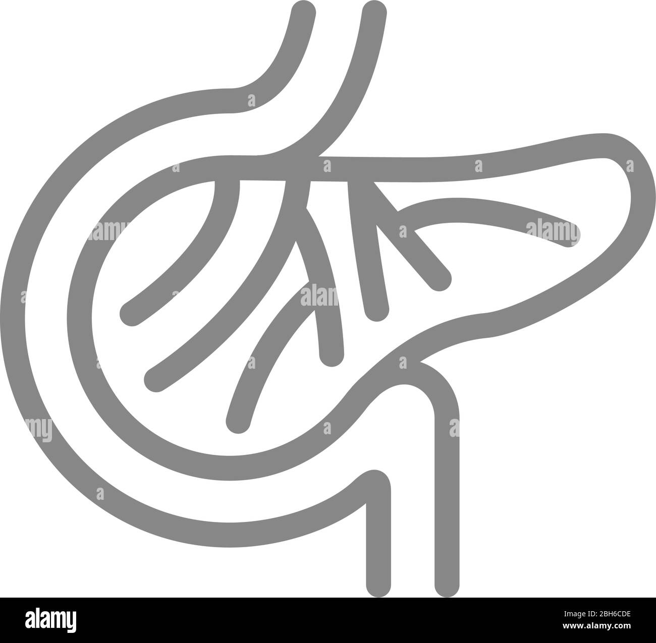 Icona della linea dei vasi sanguigni del pancreas. Apporto ematico del pancreas, simbolo di innervazione Illustrazione Vettoriale