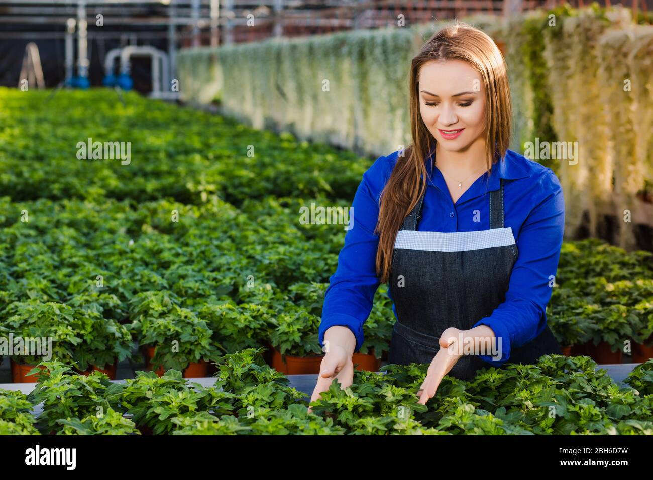 Giovane donna attraente che lavora in un giardino centro. Foto Stock