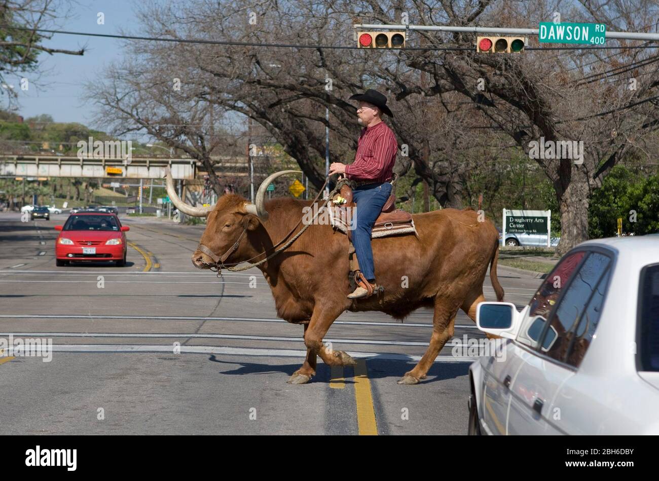 Austin, Texas USA, 18 marzo 2009: Il cowboy rodeo guida la sua Longhorn attraverso un incrocio vicino al centro di Austin dopo una foto nelle vicinanze. ©Bob Daemmrich Foto Stock