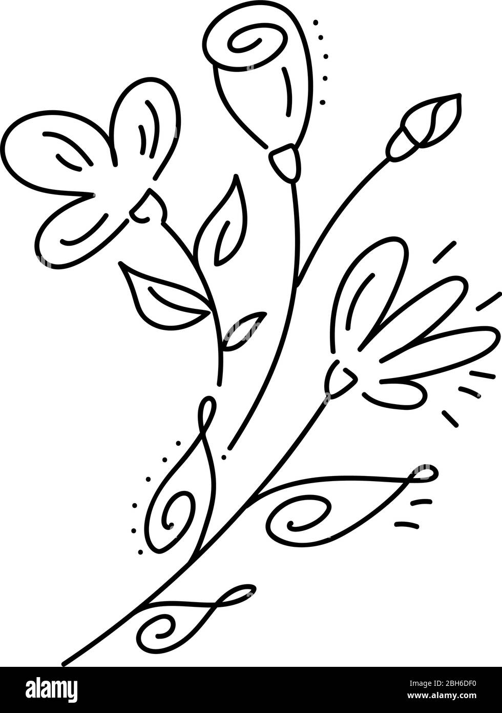 Bouquet vettoriale elementi floreali disegnati a mano in stile elegante e minimalista. Oggetti isolati fiori e rami con foglie. Per badge, etichette Illustrazione Vettoriale