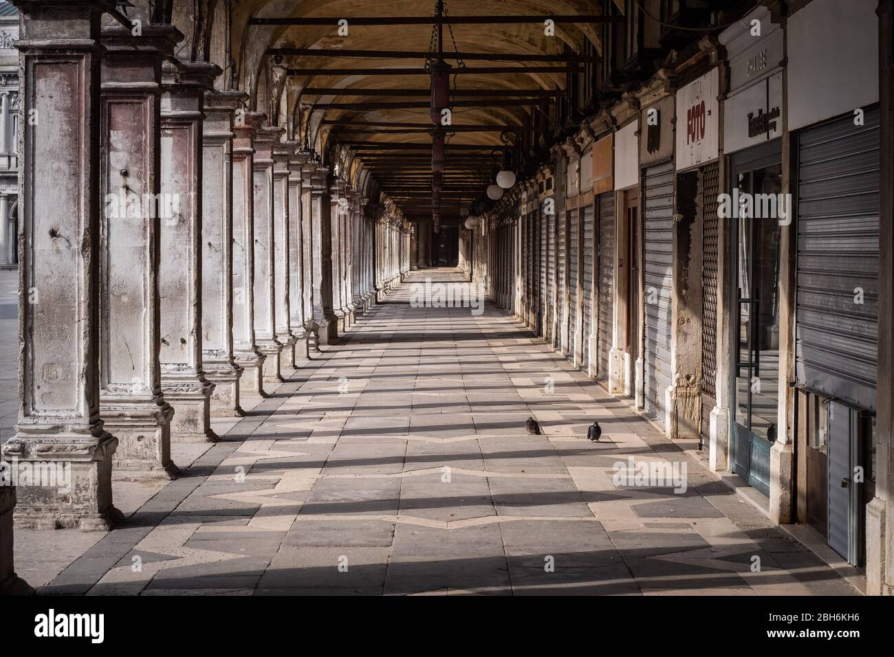 VENEZIA, ITALIA - APRILE 2020: Un portico vuoto in Piazza San Marco durante il blocco nazionale per la pandemia Covid-19. Foto Stock