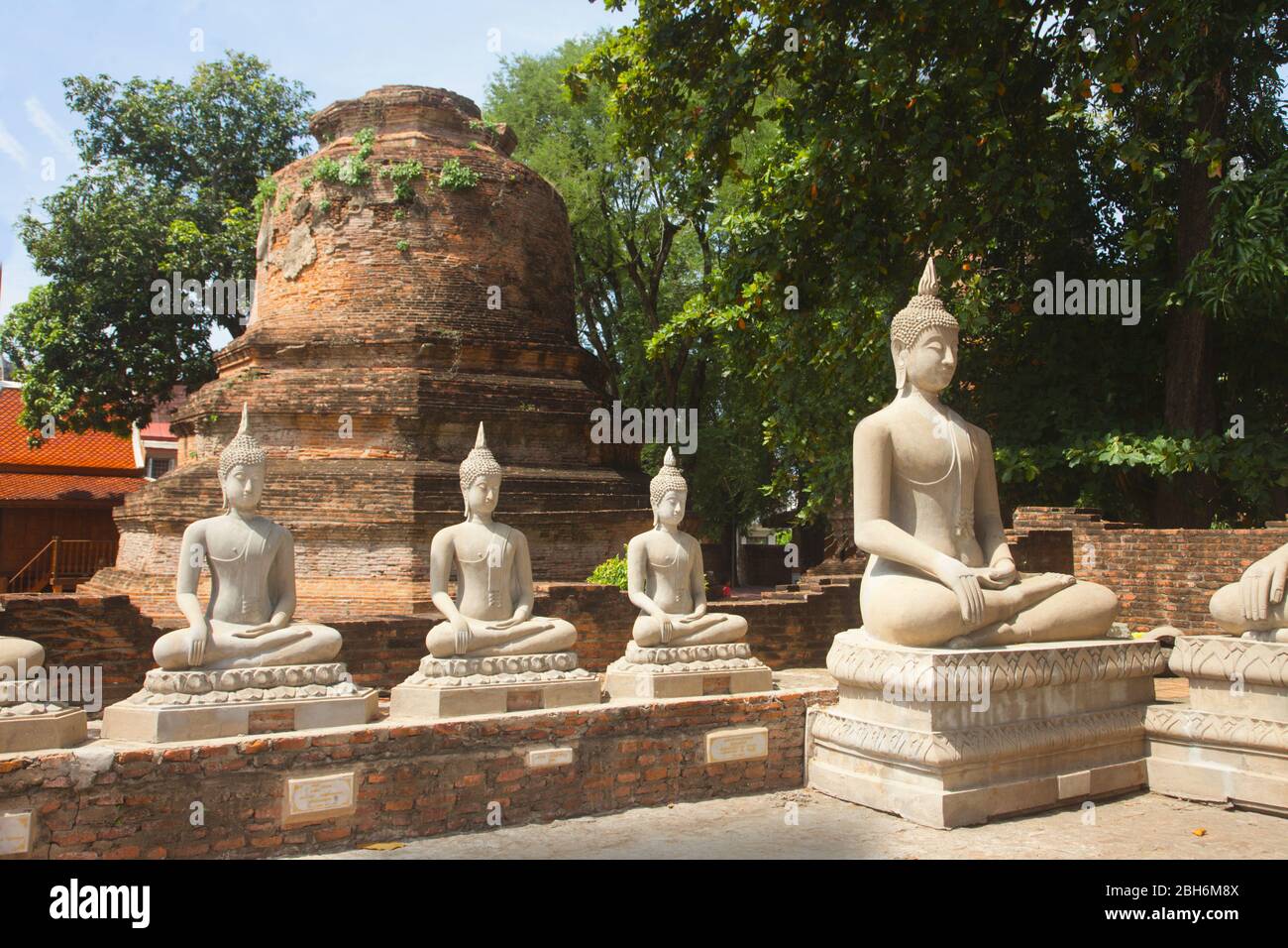 Statue di Buddha ad Ayuttaya l'antica città ed ex capitale del Siam, l'attuale Thailandia, distrutta in una battaglia con la Birmania nel 1767 Foto Stock