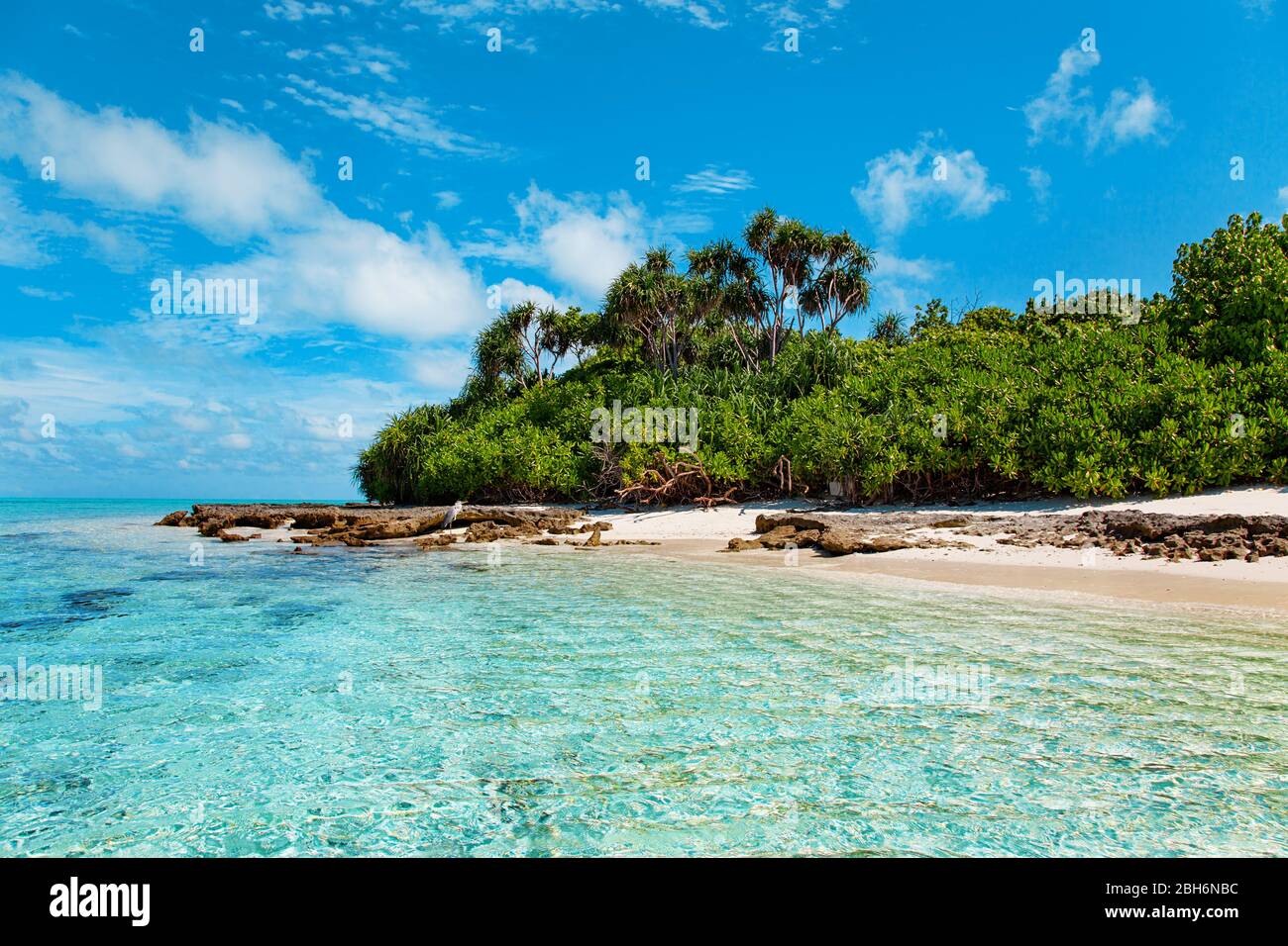 Grande uccello sulla spiaggia di sabbia di Maldive Island Foto Stock