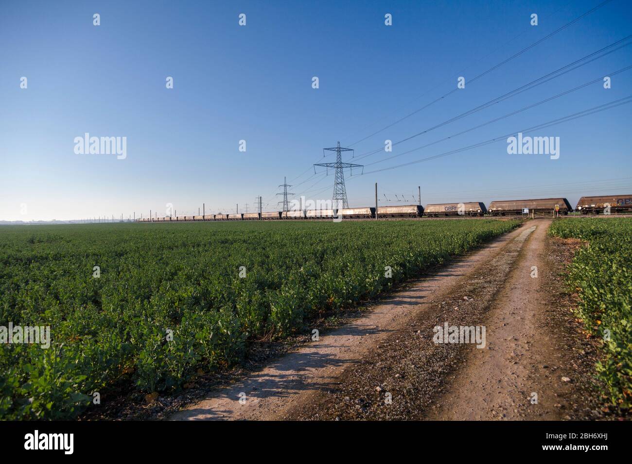 GB Railspedifire Merry andare in giro treno trasporto di carbone importato per la generazione di elettricità sulla costa orientale mainline passando i tralicci elettrici Foto Stock