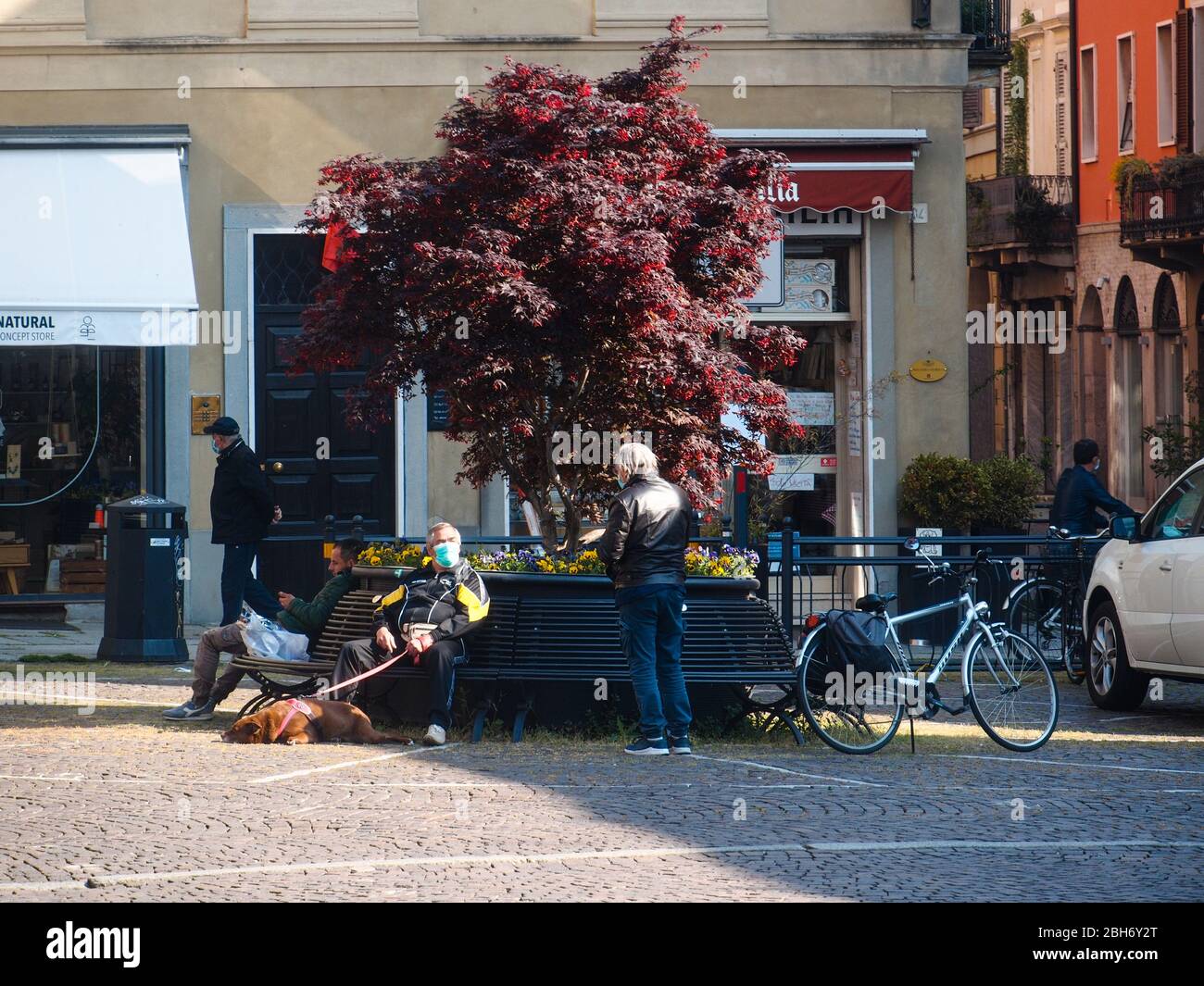 Cremona, Lombardia, Italia - 24 Aprile 20 2020 - persone a piedi, in bicicletta e in dogwalking in centro, vita quotidiana della città durante il coronavirus città di blocco Foto Stock