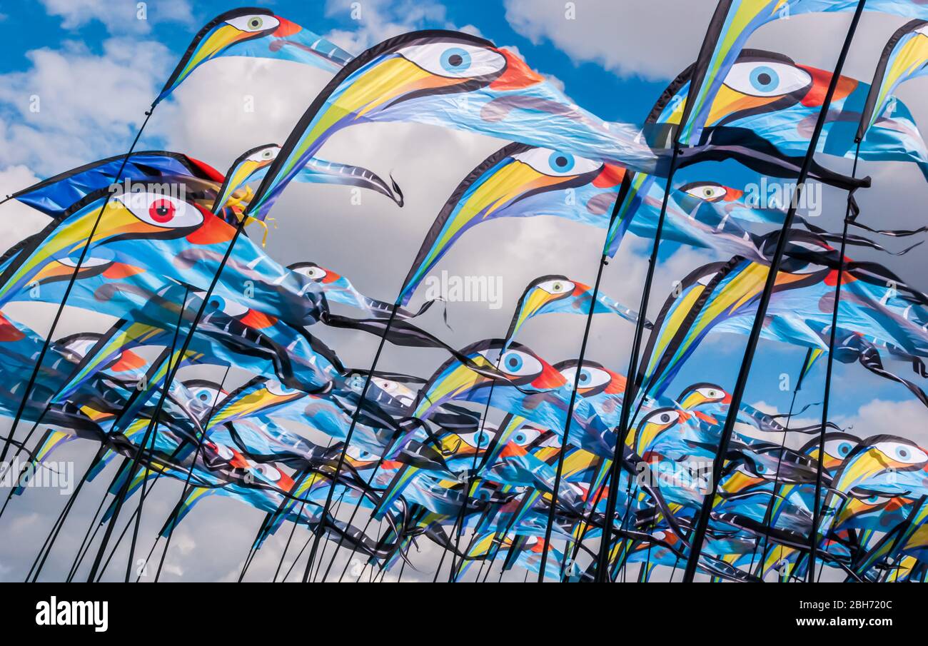 Colorato e luminoso uccello bandiera aquiloni su pali con un cielo blu e nuvole sullo sfondo al Southsea Kite Festival, Portsmouth, Regno Unito Foto Stock