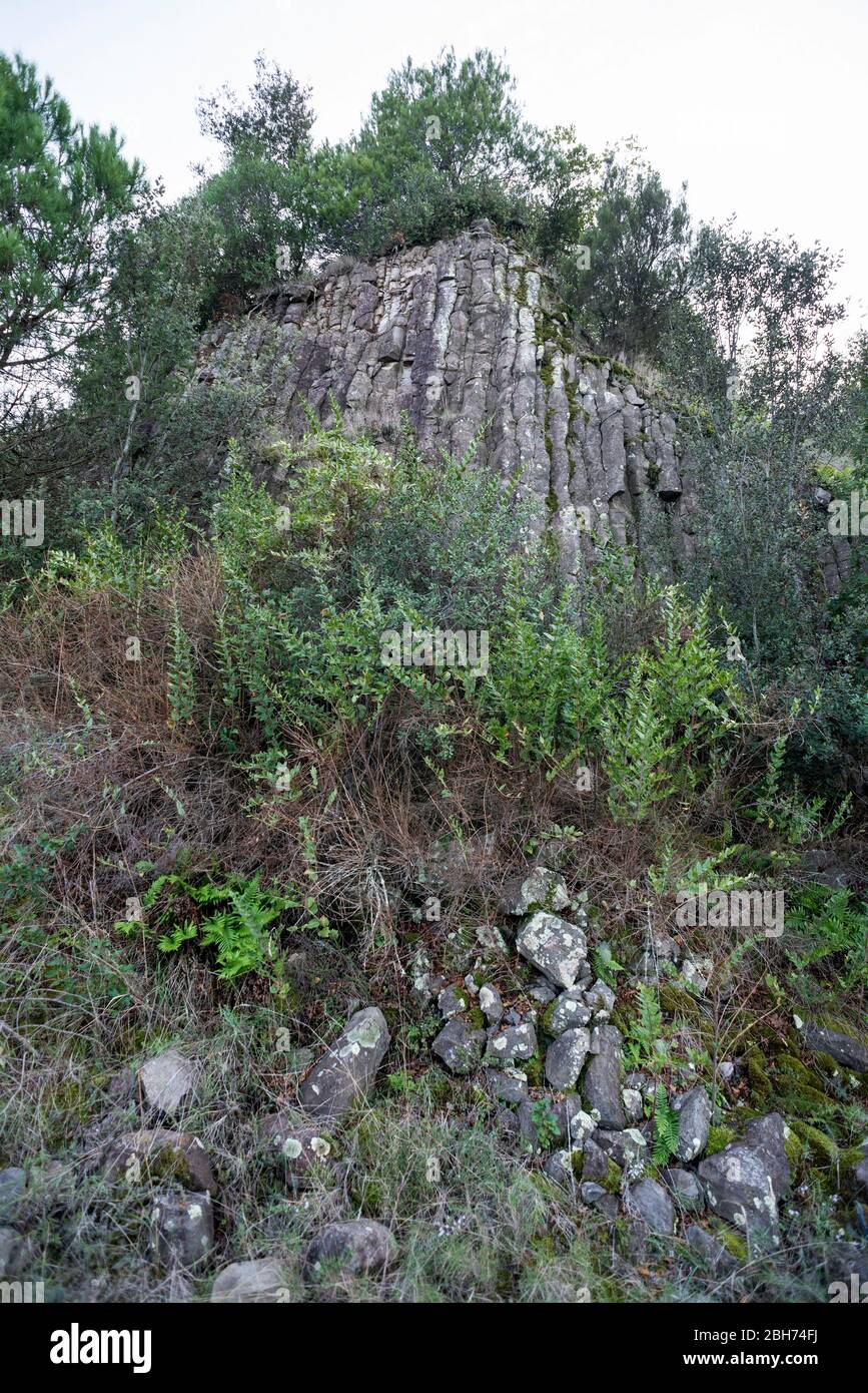 Volcà de Can Guilana, (columnes basàltiques en una disjunció hexque perfeta), Sant Julià de Ramis/Sarrià de Ter, Gironès, Catalunya Foto Stock