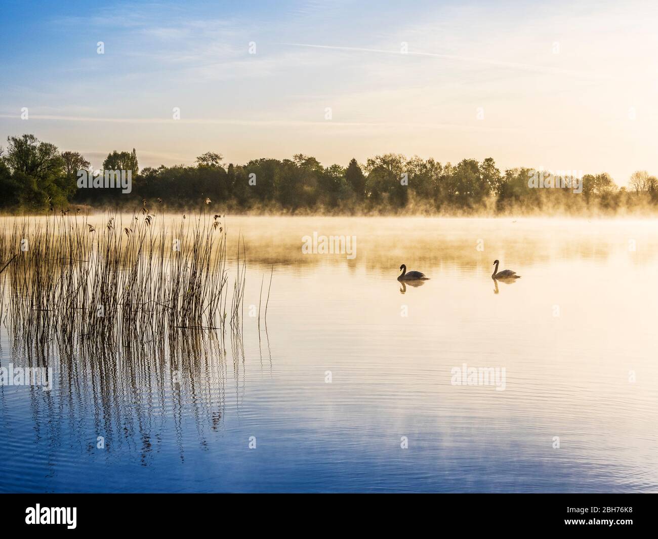 Un'alba misteriosa sull'acqua di Coate a Swindon. Foto Stock