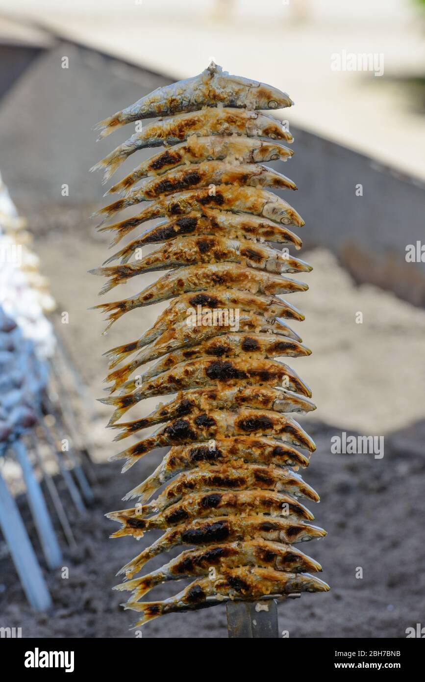 Pesce di mare fresco pescato alla griglia su bastone cosparso di sale Foto Stock