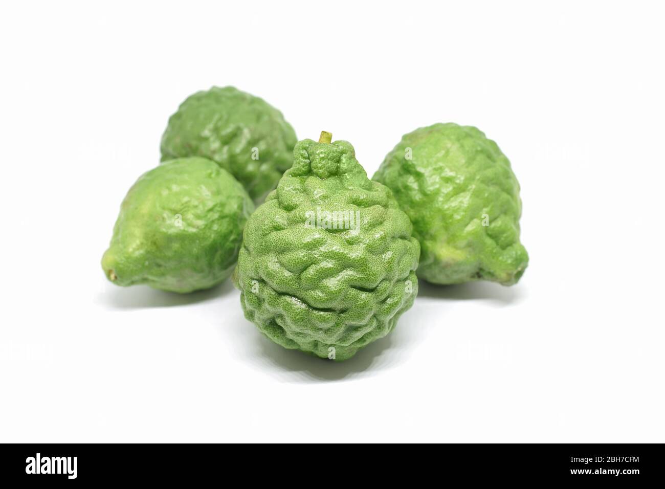 Calce verde fresca di Kaffir o frutta di bergamotto di Kaffir isolata su sfondo bianco, la calce di Kaffir è un ingrediente importante del cibo in Asia. Foto Stock