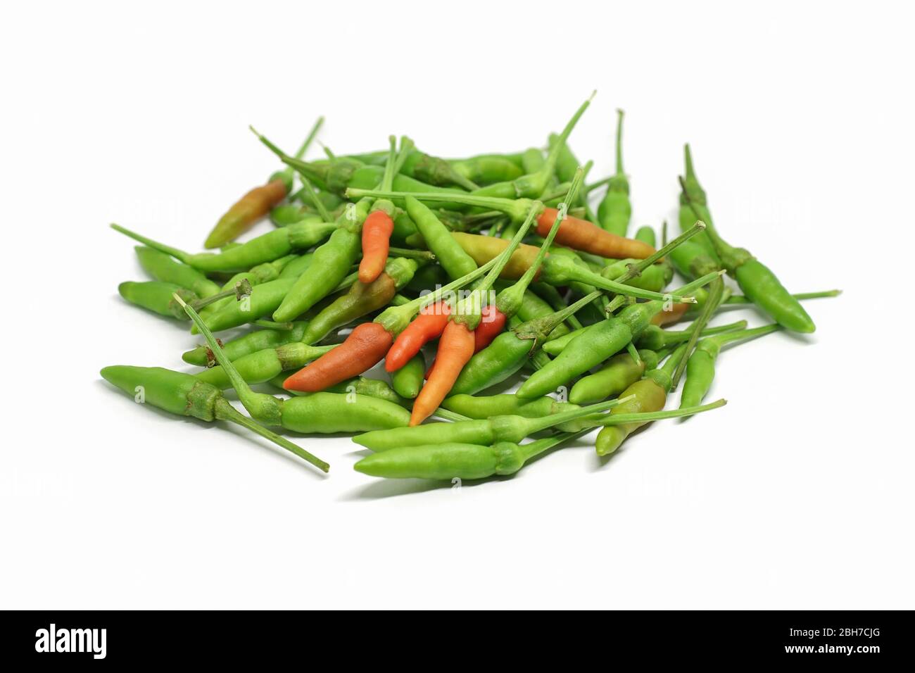Peperoncino rosso caldo peperoncino, peperoncino tailandese o peperoncino tailandese isolato su sfondo bianco. Foto Stock