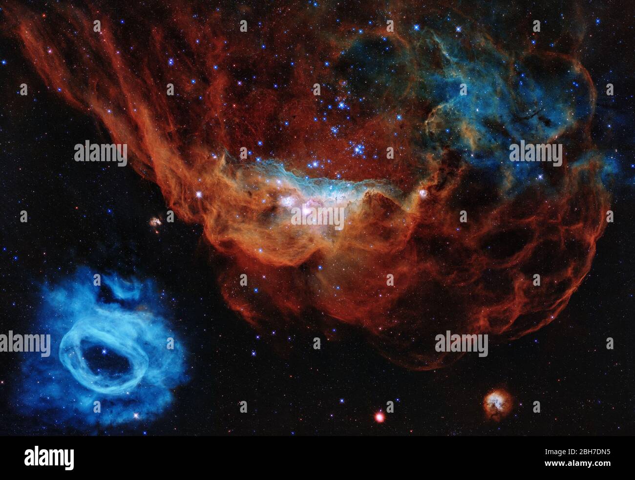 Washington, Stati Uniti. 24 Aprile 2020. Questa immagine è uno degli esempi più fotogenici dei molti vivai stellari turbolenti che il telescopio spaziale NASA/ESA Hubble ha osservato durante i suoi 30 anni di vita. Il ritratto presenta la gigantesca nebulosa NGC 2014 e il suo vicino NGC 2020, che insieme fanno parte di una vasta regione che forma stelle nella grande Nuvola Magellanica, una galassia satellitare della Via Lattea, a circa 163,000 anni luce di distanza. L'immagine è soprannominata la 'barriera cosmica' perché assomiglia ad un mondo sottomarino. NASA/ESA/UPI Credit: UPI/Alamy Live News Foto Stock