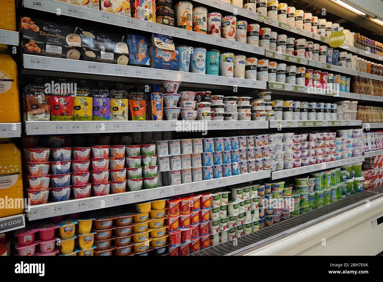 Dubai UAE Dicembre 2019 Varietà di yogurt in scaffale nel negozio. Greco, semplice, aromatizzato, yogurt alla frutta. Vista interna di un enorme frigorifero con vari prodotti alimentari di marca Foto Stock