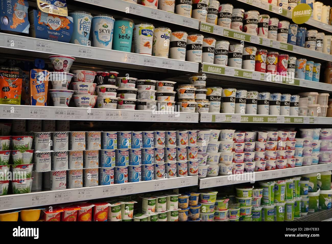 Dubai UAE Dicembre 2019 Varietà di yogurt in scaffale nel negozio. Greco, semplice, aromatizzato, yogurt alla frutta. Vista interna di un enorme frigorifero con vari prodotti alimentari di marca Foto Stock