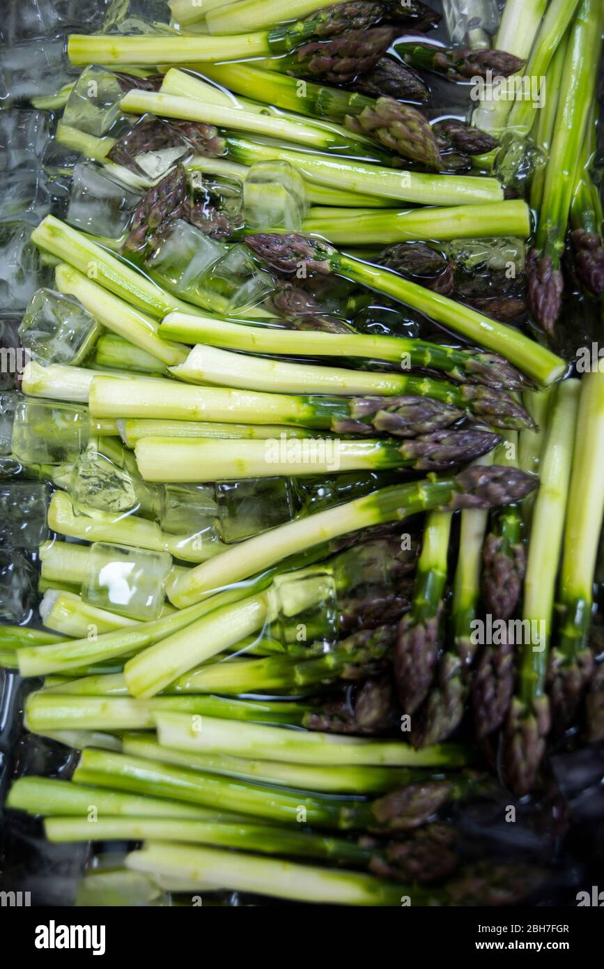 Gli asparagi freschi vengono tenuti in un bagno di ghiaccio per mantenere la freschezza prima di essere sbiancati Foto Stock