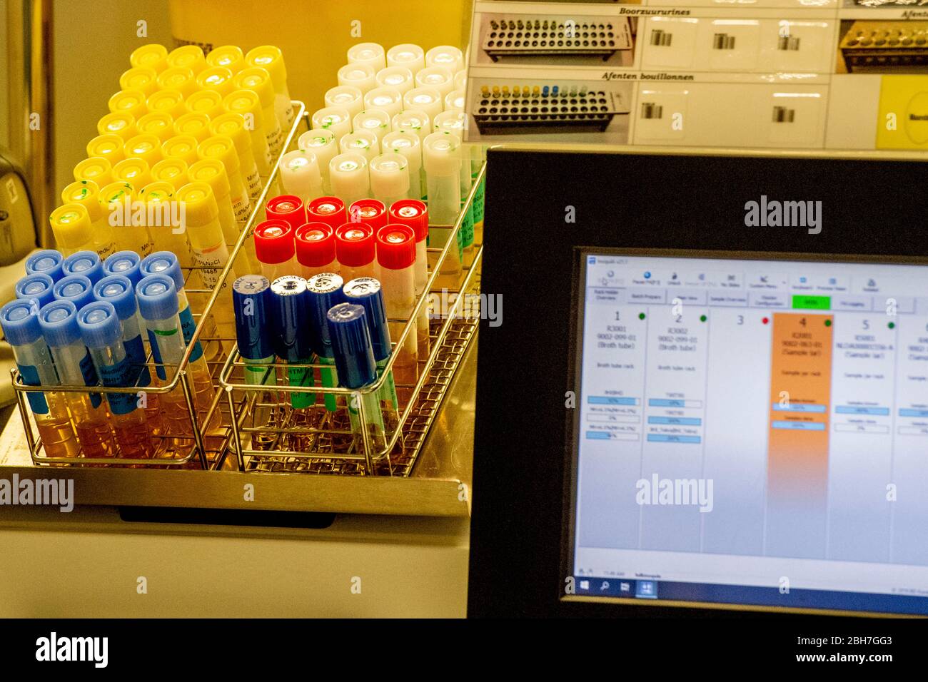 Vista delle provette di laboratorio da utilizzare per l'esecuzione di campioni di sangue di coronavirus. L'ospedale sta attualmente effettuando tra 400-500 test al giorno per casi sospetti di coronavirus COVID-19, i test di coronavirus sono a pazienti gratuiti nei Paesi Bassi. Foto Stock