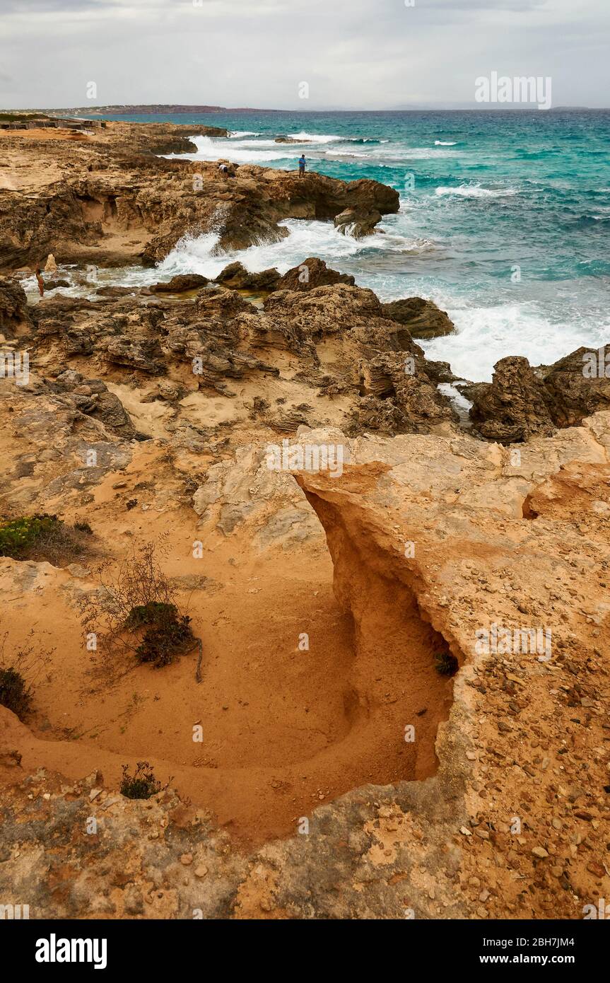 Lavanda di mare (Limonium) e pescatore sulla costa di es Carnatge con acque azzurre ruvide (es Caló, Formentera, Isole Baleari, Mar Mediterraneo,Spagna) Foto Stock