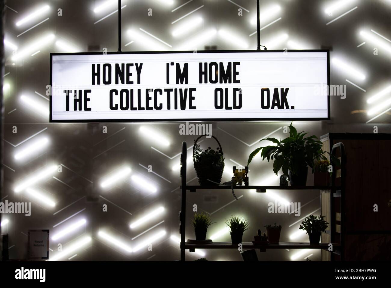 Collective Old Oak Building, il più grande edificio di co-living del mondo, Londra Ovest, Inghilterra, Regno Unito Foto Stock