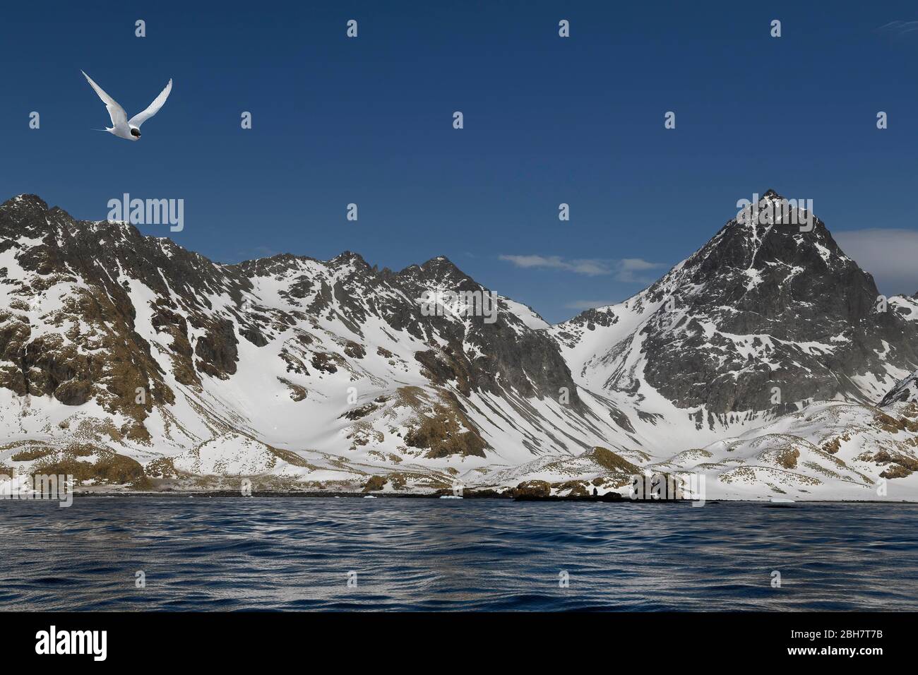 Cooper Bay, paesaggio con montagne innevate, Georgia del Sud, Georgia del Sud e Isole Sandwich, Antartide Foto Stock