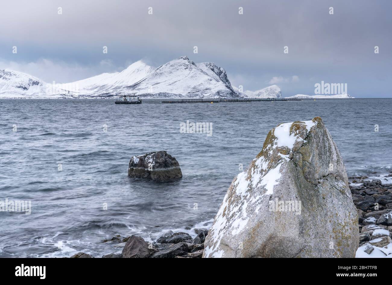 Paesaggio invernale all'alba polare sull'isola di Kvaløya e fiordo vicino a Tromso, Norvegia settentrionale Foto Stock