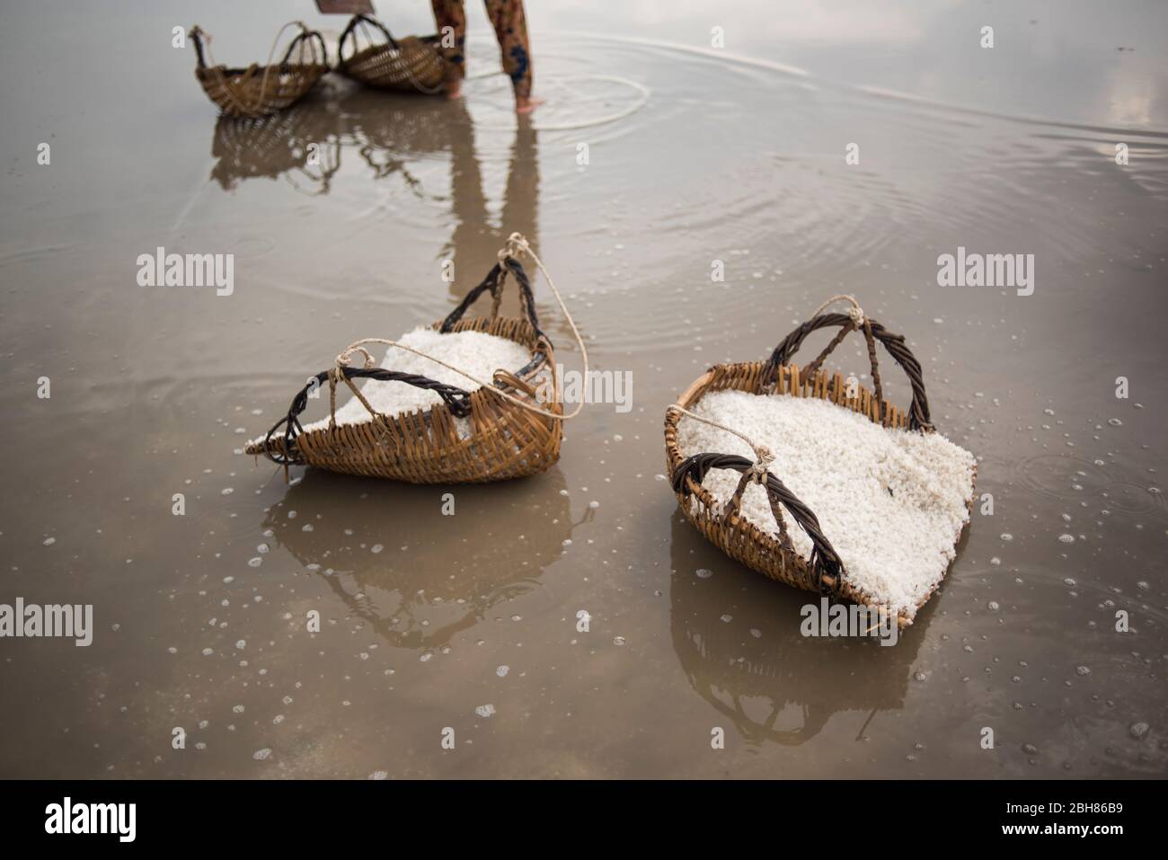 Lavoratori locali che raccolgono il sale fresco nei campi di sale di Kampot, Cambogia. Foto Stock