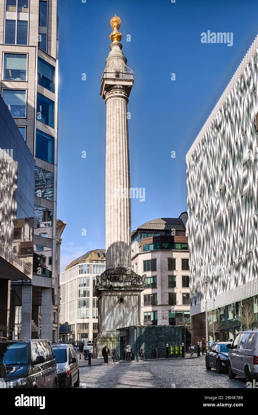 Il Monument, Fish Street Hill, Londra, costruito nel 1671 per commemorare il Grande incendio del 1666 che iniziò nella vicina Pudding Lane in un forno Foto Stock