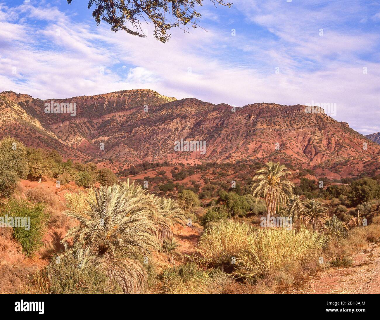 Paesaggio arido, Monti dell'Anti-Atlante, Montagne dell'Atlante, Regione di Sous-massa, Regno del Marocco Foto Stock