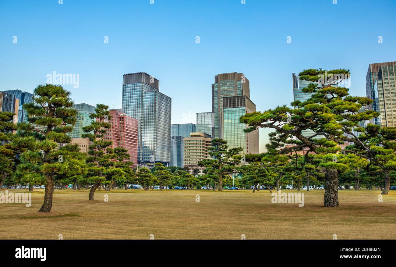 Giappone, Tokyo City, quartiere di Marunouchi, Skyline Foto Stock
