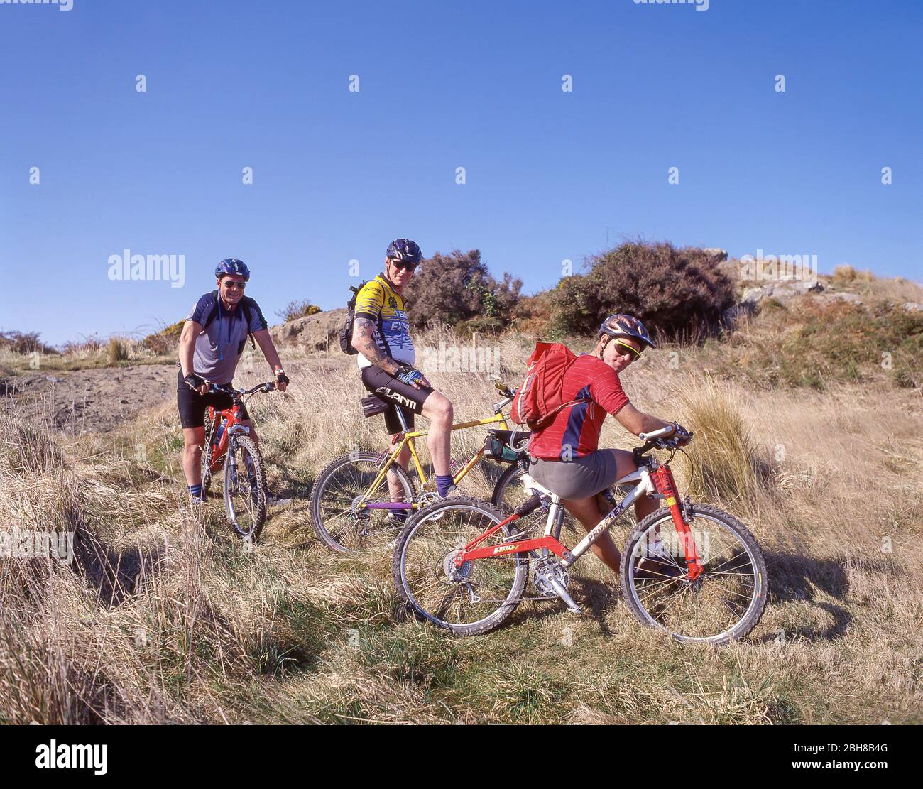 Gruppo di uomini in mountain bike su Summit Hills, Cashmere Christchurch, Canterbury Region, Christchurch, Nuova Zelanda Foto Stock
