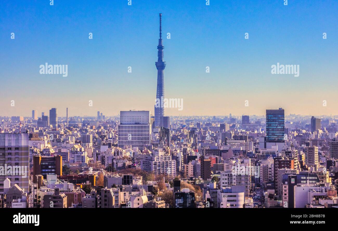 Giappone Tokyo City, Torre Skytree Foto Stock