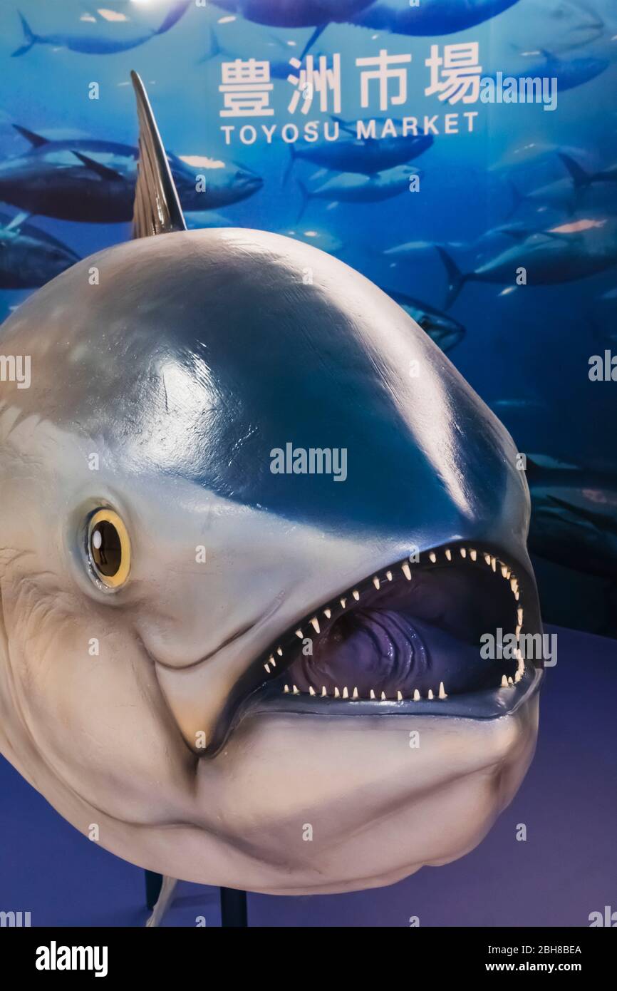 Giappone, Honshu, Tokyo, Toyosu Mercato del Pesce, Modello di plastica enorme di tonno rosso Foto Stock