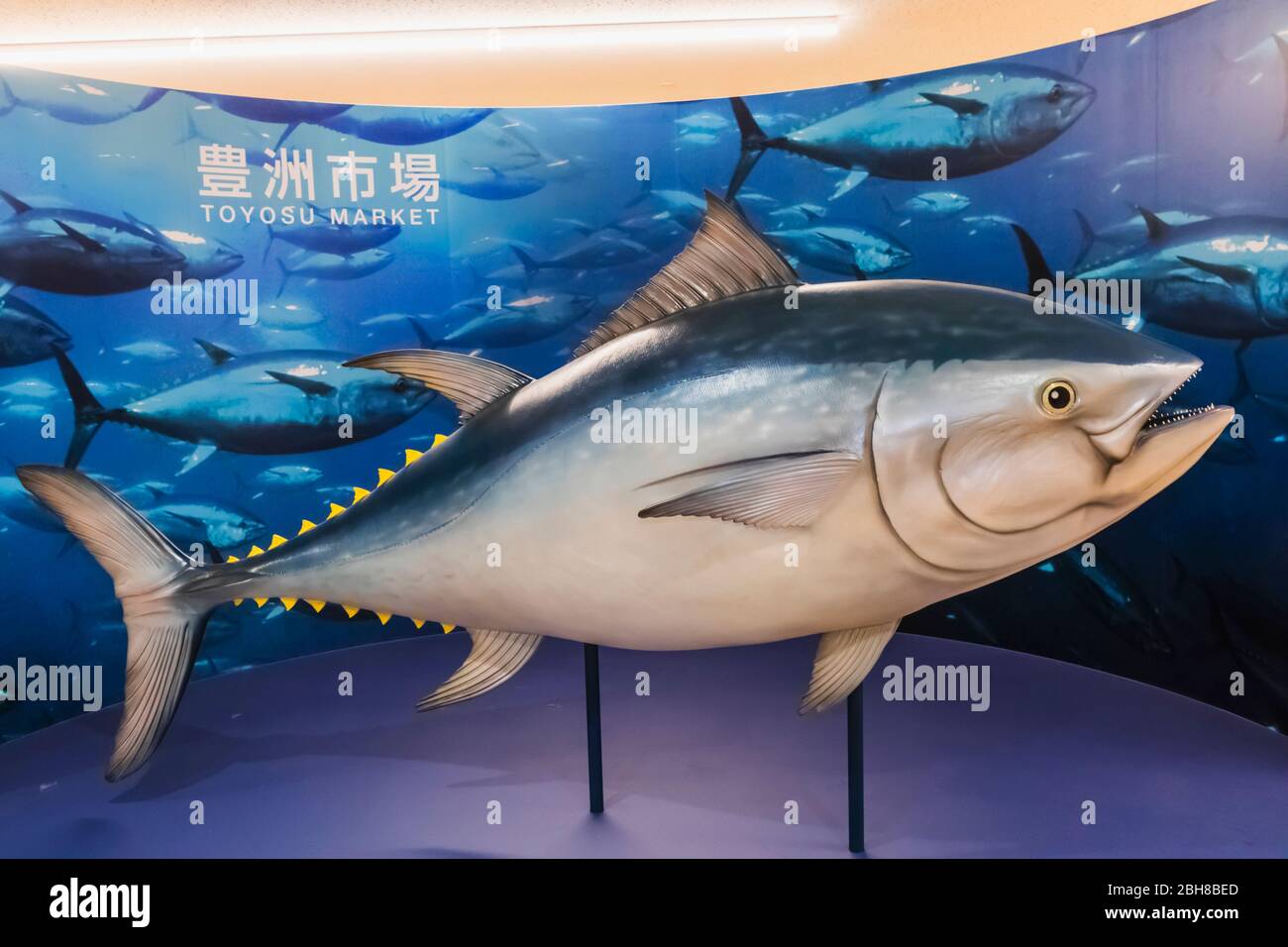 Giappone, Honshu, Tokyo, Toyosu Mercato del Pesce, Modello di plastica enorme di tonno rosso Foto Stock