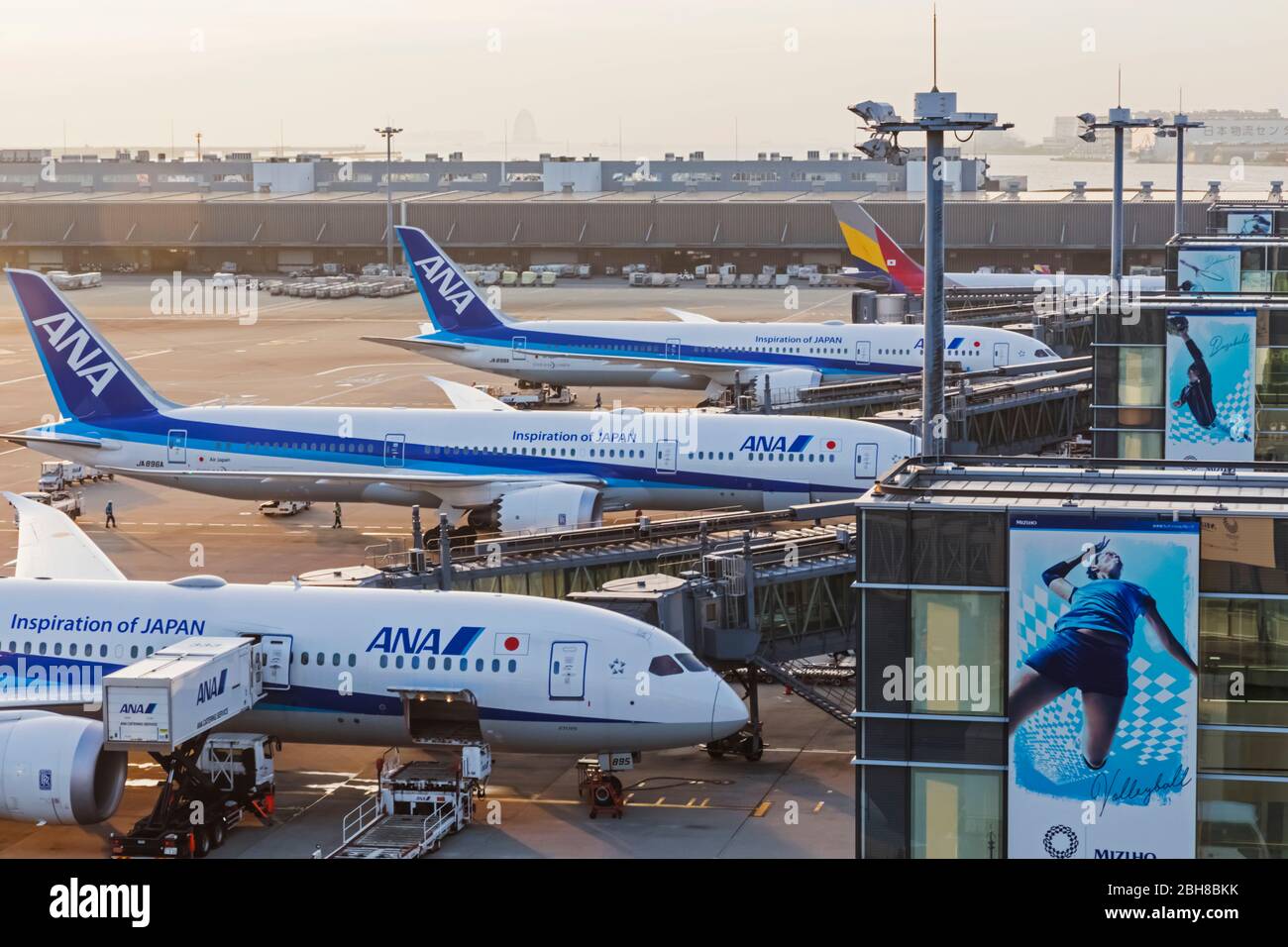 Giappone, Honshu, Tokyo Haneda, All Nippon Airways aka ANA aerei parcheggiati in rampe di Airport Foto Stock