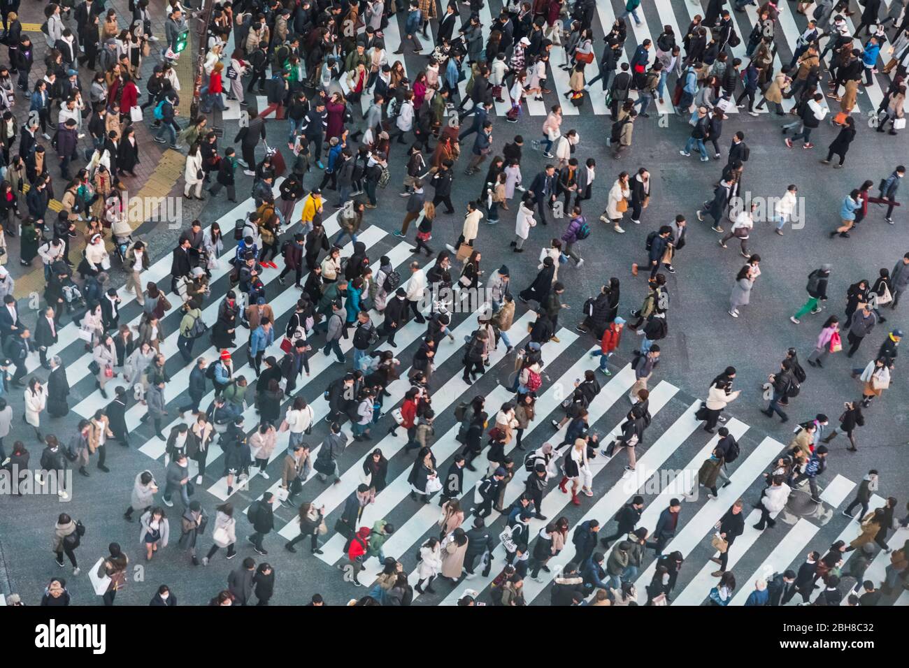 Giappone, Honshu, Tokyo, Shibuya, Shibuya Crossing, folle strada di attraversamento Foto Stock