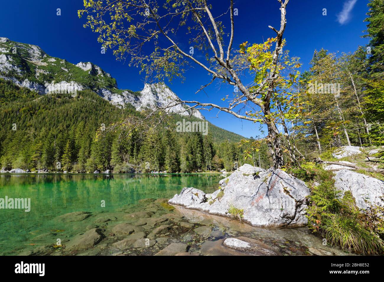 Hintersee, Ramsau, Berchtesgadener Land, Nationalpark Berchtesgaden, Oberbayern, Deutschland Foto Stock