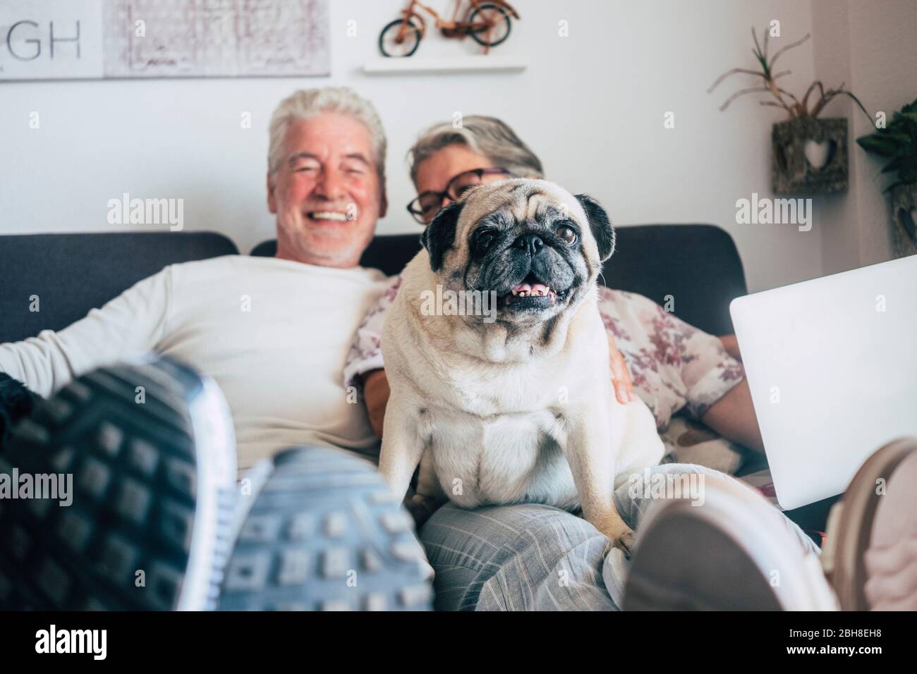 Coppia senior caucasica sedersi sul divano con divertente cane pug guardare. Felicità con amore per gli animali e miglior concetto amico - la vita quotidiana a casa con persone simpatiche e cucciolo vecchio Foto Stock