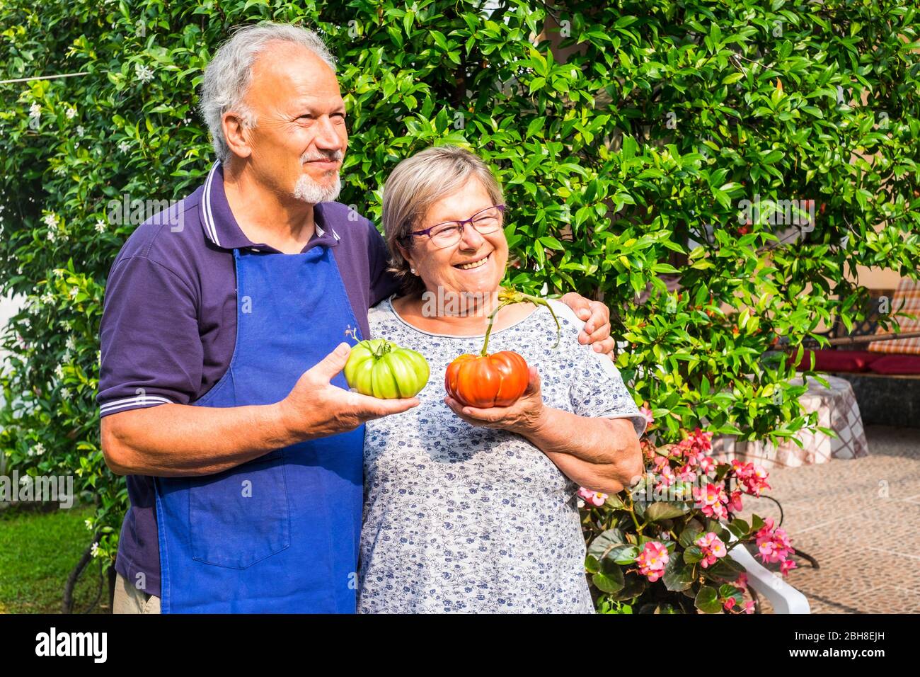 coppia di adulti caucasici senior uomo e donna con grandi pomodori fatti in casa a portata di mano uno verde uno rosso pronto per essere mangiato. Stile di vita sano con verdure prodotte a casa per una vita più economica e piacevole Foto Stock