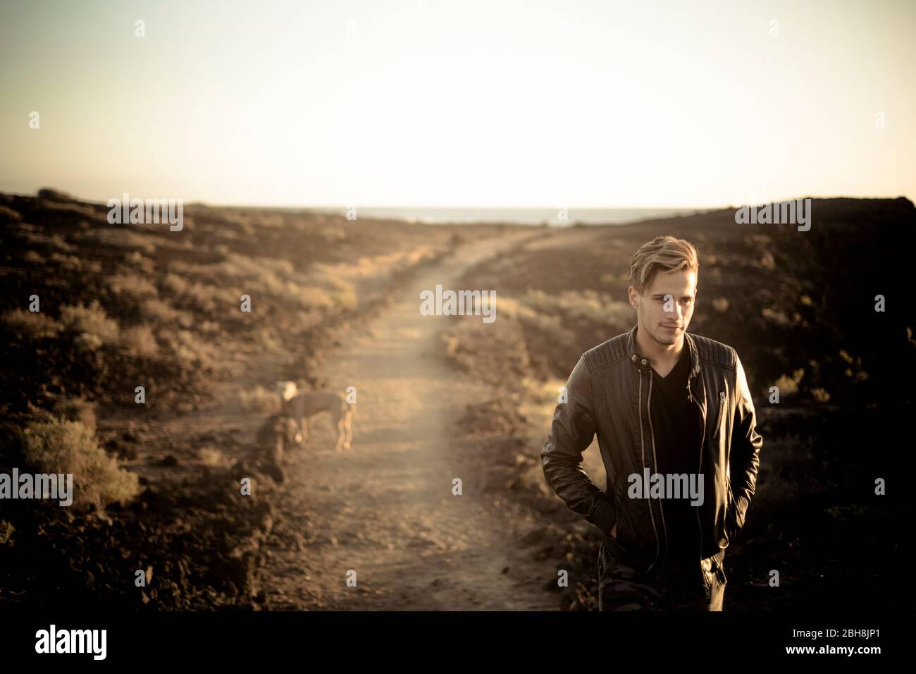 Uomo solitario e miglior amico cane a piedi insieme su un percorso in attività di svago deserto all'aperto con oceano in background alla fine - amicizia e concetto di viaggio per le persone con animali Foto Stock